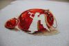 2067539086_2019-12-303.thumb.JPG.06dbdfb6c0286b1b1d7a2468f554af24.JPG