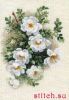 23118.thumb.jpg.ddaabd917e56dc1a9c2a829b1eaf45b6.jpg