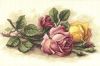 317.thumb.jpg.2090af9e62e4b3f5777bcd8d45e6c9ab.jpg
