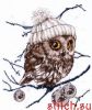 Thea Gouverneur 743, Whoo Whoo Its Winter
