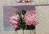 4.thumb.jpg.b27d8c9aae0d0867cc3064884a7bd1a3.jpg
