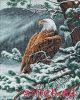 54.thumb.jpg.ac19f7a28d787085ad3323d94a6a58d1.jpg
