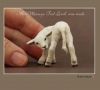 6b0f9922d807f12e8a13ea3369695a77--sheep-art-clay-animals.thumb.jpg.e87ace540c7e09205e2ce1ff889ff4ef.jpg