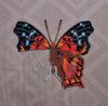 Butterfly10-3.thumb.JPG.6156161e3a0bcf8c645bf5b71e4a9100.JPG