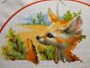 DSC02916.thumb.JPG.206473a616f6c4bbdd4c8d8aec6f3a4d.JPG
