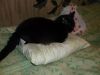DSCF3345.thumb.JPG.1e2cc02acf3dadb8ee682a5ea82d3593.JPG