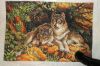 DSCF3353.thumb.JPG.45d315a4ef65fef2b097cfab27eaf3c6.JPG