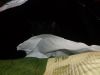 DSCF3405.thumb.JPG.fa0a493a7aa7fdc6461cccf1e35b97ba.JPG