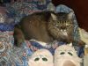 DSCF3419.thumb.JPG.3098407ad24ba30c111c6230e658a00e.JPG