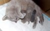 DSCN2786.thumb.JPG.6e6fe00aca3ae005e669d47aba7c8bc1.JPG