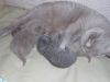 DSCN2818.thumb.JPG.dcd5d683f2d60b3672150faeb98a4114.JPG