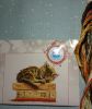 DSC_1666.thumb.JPG.0ec9b45c5b5551e80e05632135a9732f.JPG