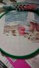 DSC_2647.thumb.JPG.b44267468be02cc73e1c7d0993af9944.JPG