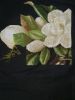 IMG-20191207-WA0007.jpg