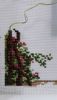 IMG-20191219-WA0023.thumb.jpeg.874b3ed5c2902c9ce991fa38cfa58c53.jpeg