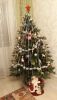 IMG-ae247fe6d9245575b2c6503b9cf52388-V.thumb.jpg.70ad37e381e52bb7f5305fa000022a2f.jpg