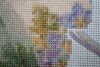 IMG_1356.thumb.JPG.bc2557adf96712bee8d25298bed728e5.JPG