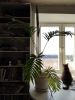 IMG_20191031_090218.thumb.jpg.7c1b5caed437574b15f011cf4fde98ce.jpg