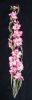 IMG_20191103_150347.thumb.jpg.05c0fee48eb6ce105ae3ebaff99a82dd.jpg
