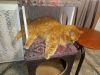 IMG_20191122_160504.thumb.jpg.5c907aa3ff4886fbab77b1c866f4db1f.jpg