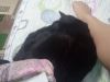 IMG_20191122_214209.thumb.jpg.923040828ad8d462868835cfe44be7a6.jpg