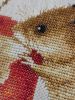 IMG_20191201_163236.thumb.jpg.015277b69fad117680ce9afdd1252b6c.jpg