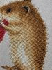 IMG_20191201_163248.jpg