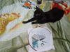 IMG_20191202_215444.thumb.jpg.901c179d1fd41ad441350ff2ce21624b.jpg