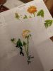 IMG_20191206_213247866.thumb.jpg.053e073c7b0117d6a8cee16863ff2549.jpg