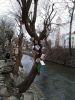 IMG_20191214_114754.thumb.jpg.b3a8223b19911a80b19856ccf047b870.jpg