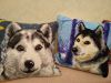 IMG_20191214_115211.thumb.jpg.c149365fe3921dc43f87466502051b9a.jpg