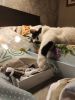 IMG_20191217_155913.thumb.jpg.b9f3277ae15166b03e844f536654d2b6.jpg