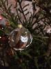 IMG_20191230_232034.thumb.jpg.3dd2fdd64fdfde0362223d3c94a97400.jpg