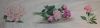 Peonies24.thumb.JPG.49fb2e2f1aee0b6b1aaed5cf46af8de8.JPG