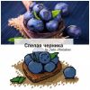 PicsArt_10-24-11_58.26-500x500.thumb.jpg.30c791345a705616cd9ac9789286e7e6.jpg