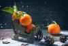 depositphotos_59022349-stock-photo-christmas-tangerines.thumb.jpg.1afecdd1091d30c94a9e3901aacae7cf.jpg