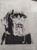 1.thumb.jpg.aaa7e17aabad844d0292d82c6145e82f.jpg