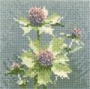 1356376142_SHSH498MiniSeaHolly.thumb.jpg.886bb33d8264fda3716903383885e446.jpg