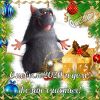 150247685_5774028_mish12.thumb.jpg.409cdd4a5a5c6c8a9dce9c0c7f621f61.jpg