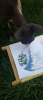 163058403_.thumb.png.6930ffe9aee0ce227f3b1f1aa391bba5.png