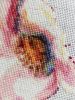 2.thumb.JPG.fadbe4384dd16954ae249c0f48c6d5d4.JPG