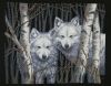 20190509_095030.thumb.jpg.8117f8b419982f0100ff9b90410ca1c3.jpg