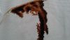 20190626_165449.jpg