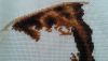 20190626_165505.jpg