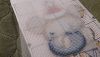 20200102_000321.thumb.jpg.cb74ae33be5e6a21e10157096e6f7b0f.jpg