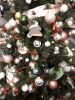 20200104_140942.thumb.jpg.308b9f40ea75621b872abd57a4cadb90.jpg