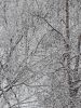 20200111_103018.thumb.jpg.37b10319c7dd2c211f6bda1f195994cc.jpg