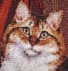 22.thumb.jpg.d4c89b11ff14a3fd669ef4669e281c2e.jpg