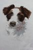 29077_61-1.thumb.jpg.aa0387249dd33701132af94c5e9f6d9b.jpg