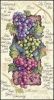 Dimensions 13711, Хорошее вино (Good Wine)